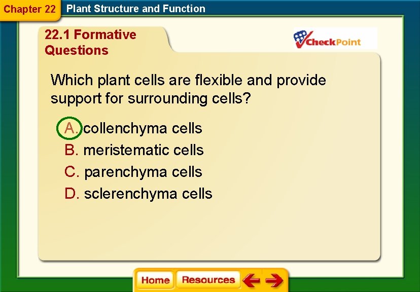 Chapter 22 Plant Structure and Function 22. 1 Formative Questions Which plant cells are