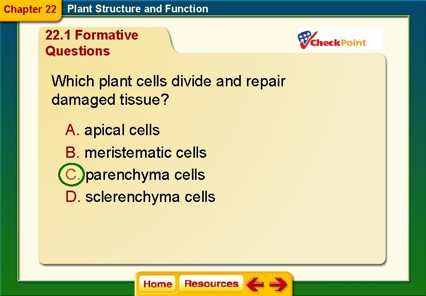 Chapter 22 Plant Structure and Function 22. 1 Formative Questions Which plant cells divide