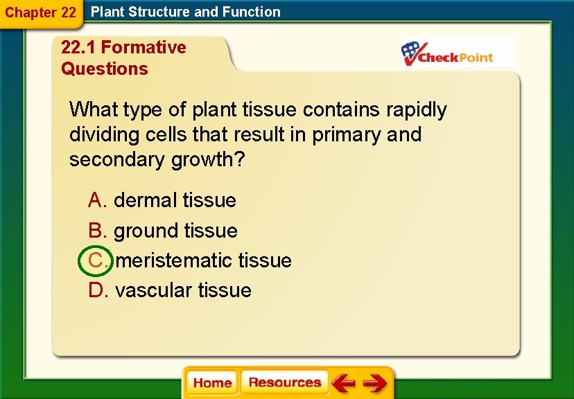 Chapter 22 Plant Structure and Function 22. 1 Formative Questions What type of plant