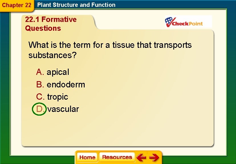 Chapter 22 Plant Structure and Function 22. 1 Formative Questions What is the term