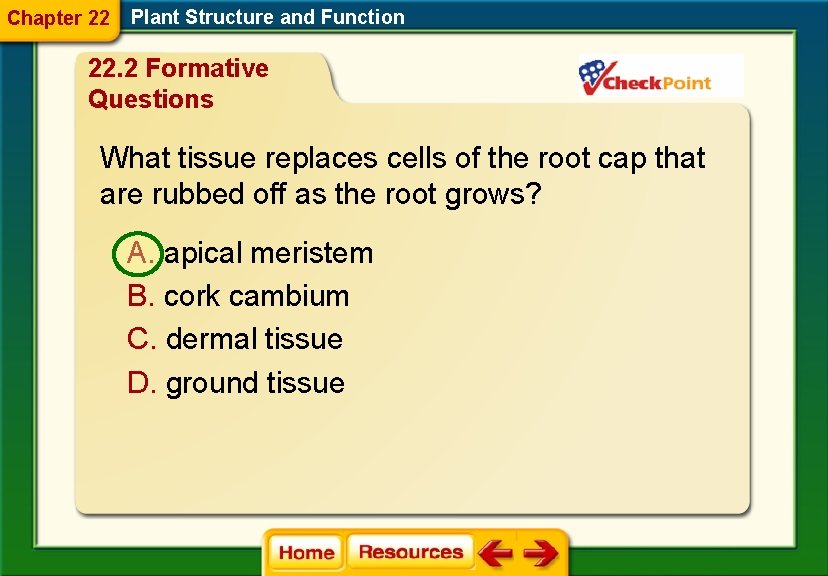 Chapter 22 Plant Structure and Function 22. 2 Formative Questions What tissue replaces cells