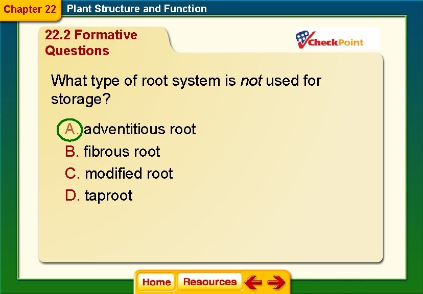 Chapter 22 Plant Structure and Function 22. 2 Formative Questions What type of root