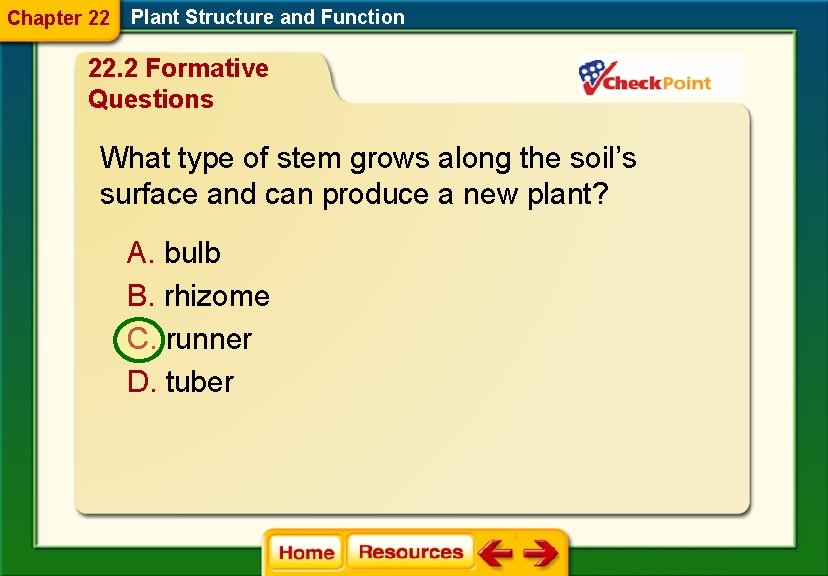 Chapter 22 Plant Structure and Function 22. 2 Formative Questions What type of stem