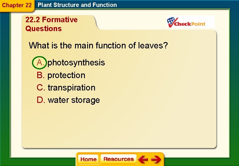 Chapter 22 Plant Structure and Function 22. 2 Formative Questions What is the main