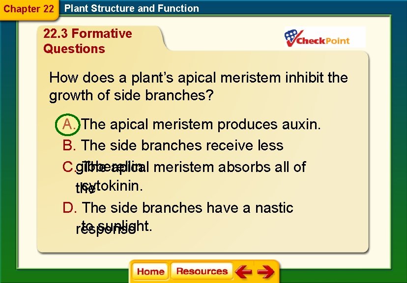 Chapter 22 Plant Structure and Function 22. 3 Formative Questions How does a plant’s