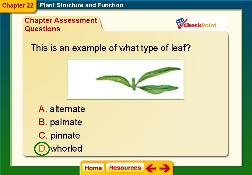 Chapter 22 Plant Structure and Function Chapter Assessment Questions This is an example of