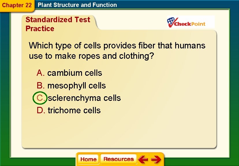 Chapter 22 Plant Structure and Function Standardized Test Practice Which type of cells provides