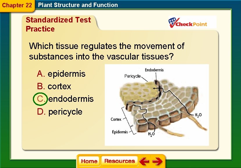 Chapter 22 Plant Structure and Function Standardized Test Practice Which tissue regulates the movement