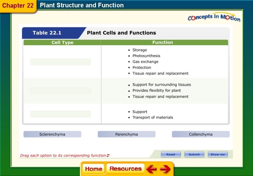 Chapter 22 Plant Structure and Function 