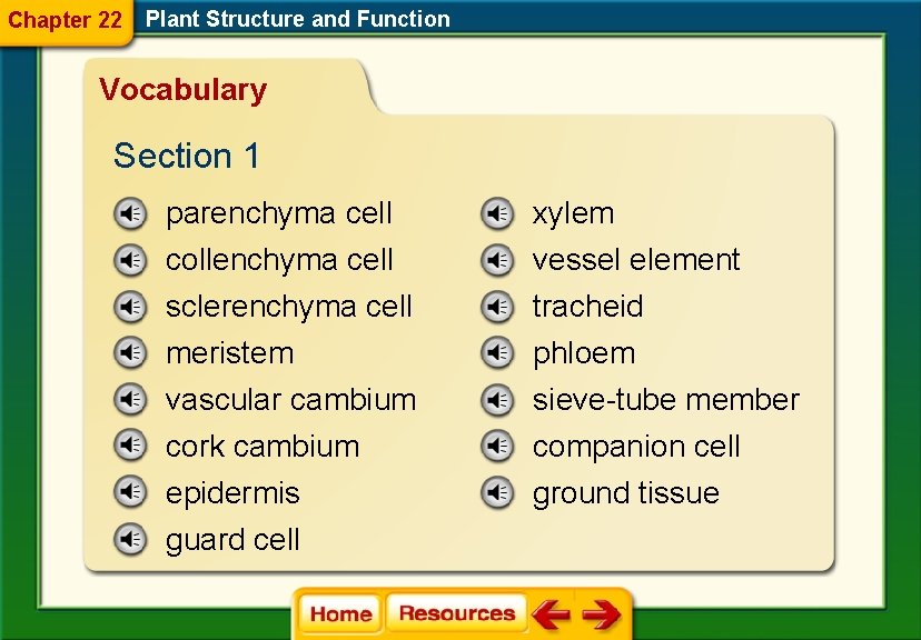 Chapter 22 Plant Structure and Function Vocabulary Section 1 parenchyma cell xylem collenchyma cell