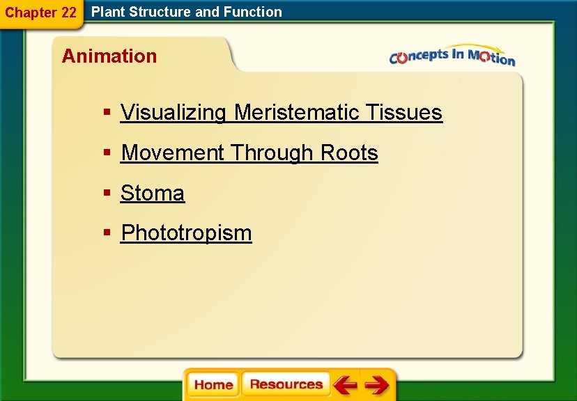 Chapter 22 Plant Structure and Function Animation § Visualizing Meristematic Tissues § Movement Through