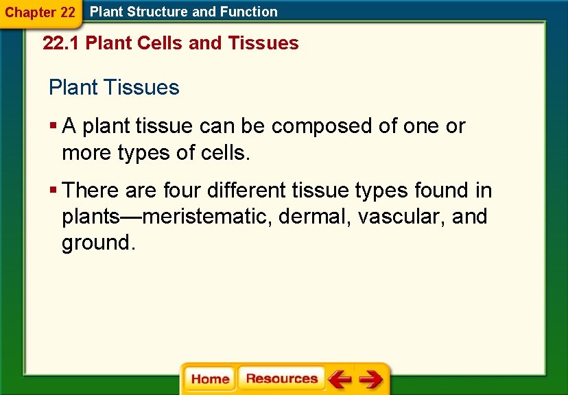 Chapter 22 Plant Structure and Function 22. 1 Plant Cells and Tissues Plant Tissues