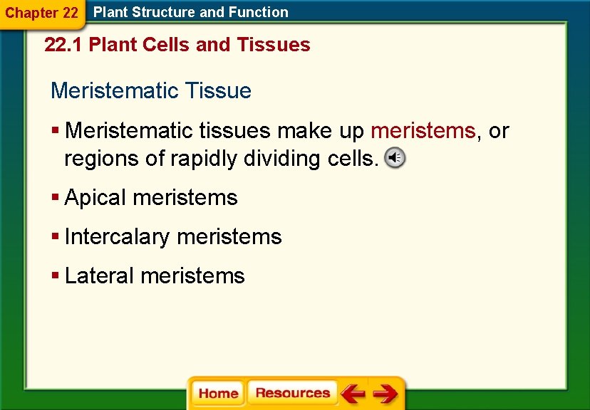 Chapter 22 Plant Structure and Function 22. 1 Plant Cells and Tissues Meristematic Tissue