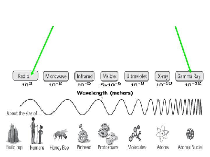 Notice the wavelength is long (Radio waves) and gets shorter (Gamma Rays) 