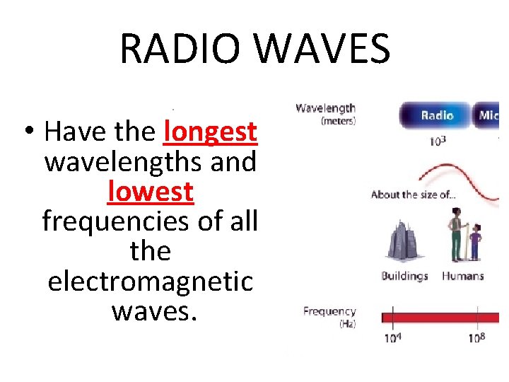 RADIO WAVES • Have the longest wavelengths and lowest frequencies of all the electromagnetic