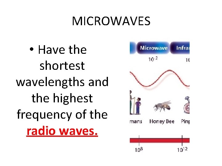 MICROWAVES • Have the shortest wavelengths and the highest frequency of the radio waves.