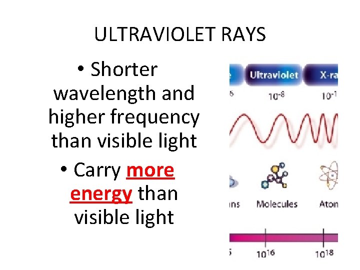 ULTRAVIOLET RAYS • Shorter wavelength and higher frequency than visible light • Carry more