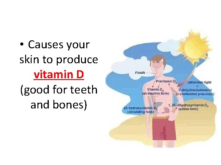  • Causes your skin to produce vitamin D (good for teeth and bones)