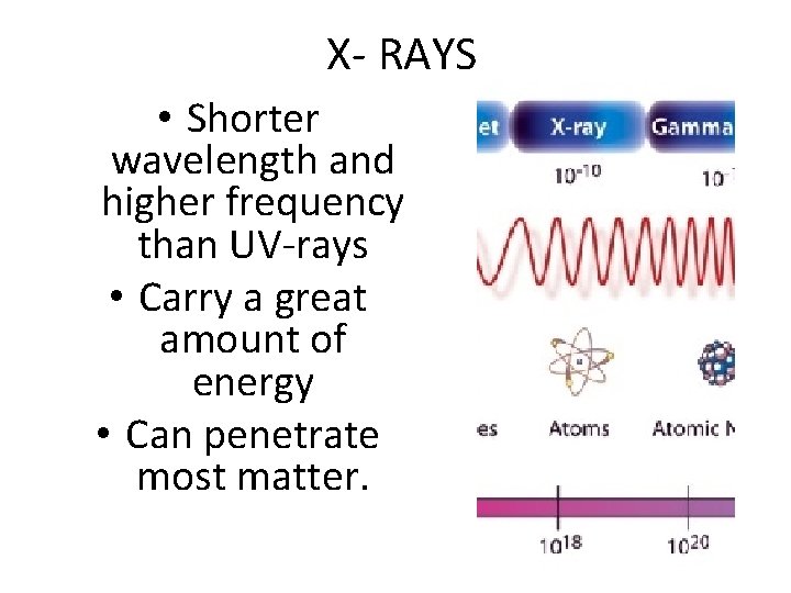 X- RAYS • Shorter wavelength and higher frequency than UV-rays • Carry a great