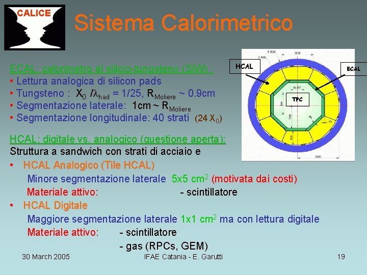 CALICE Sistema Calorimetrico ECAL: calorimetro al silicio-tungsteno (Si. W) : • Lettura analogica di