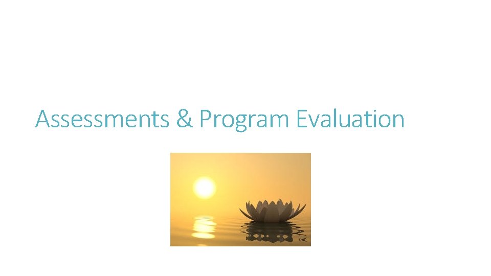 Assessments & Program Evaluation 