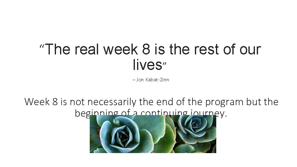 “The real week 8 is the rest of our lives” – Jon Kabat-Zinn Week