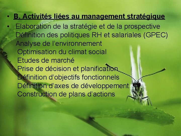  • B. Activités liées au management stratégique • Elaboration de la stratégie et