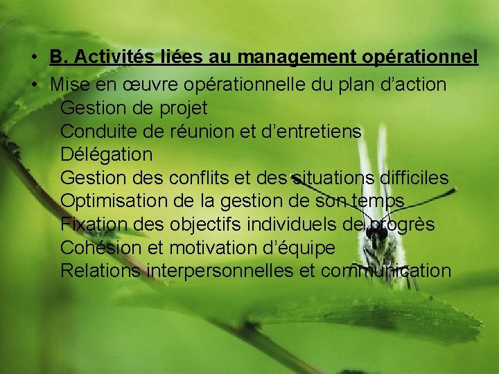  • B. Activités liées au management opérationnel • Mise en œuvre opérationnelle du