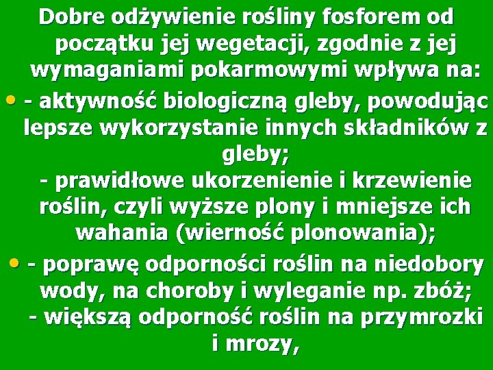 Dobre odżywienie rośliny fosforem od początku jej wegetacji, zgodnie z jej wymaganiami pokarmowymi wpływa