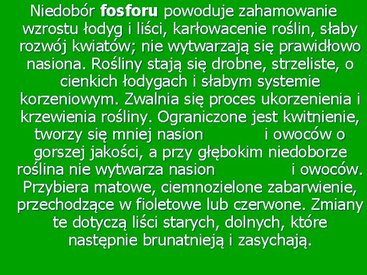 Niedobór fosforu powoduje zahamowanie wzrostu łodyg i liści, karłowacenie roślin, słaby rozwój kwiatów; nie