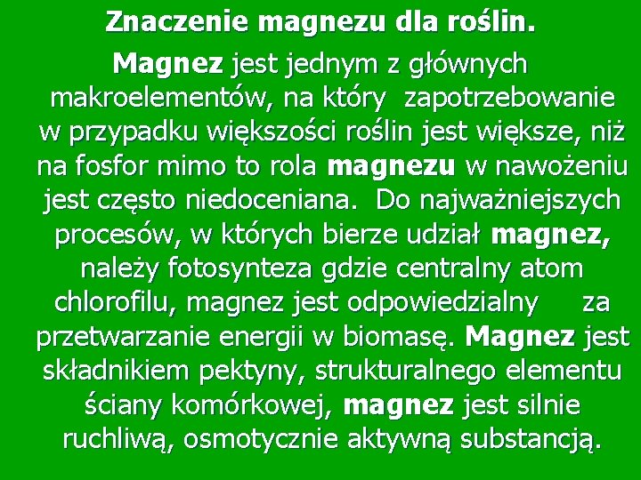 Znaczenie magnezu dla roślin. Magnez jest jednym z głównych makroelementów, na który zapotrzebowanie w