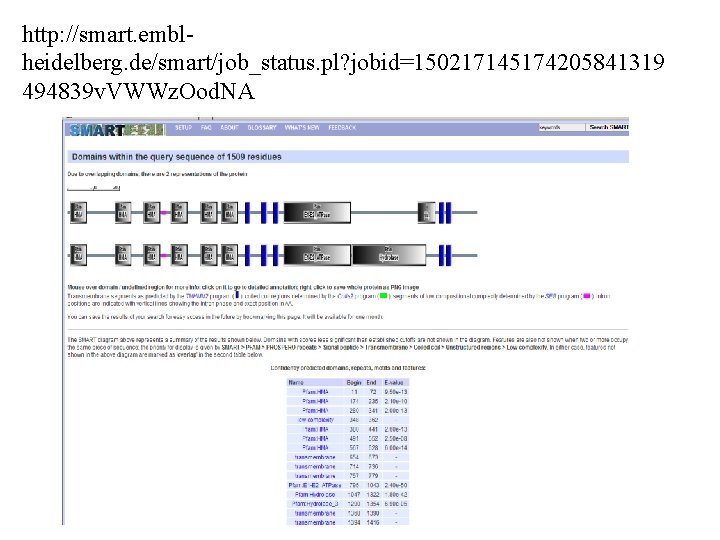 http: //smart. emblheidelberg. de/smart/job_status. pl? jobid=150217145174205841319 494839 v. VWWz. Ood. NA 