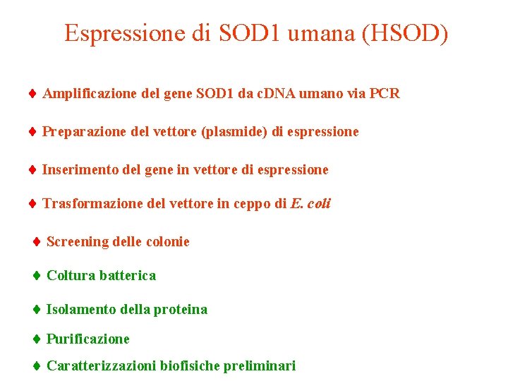 Espressione di SOD 1 umana (HSOD) Amplificazione del gene SOD 1 da c. DNA