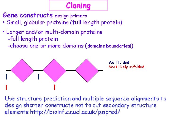 Cloning Gene constructs design primers • Small, globular proteins (full length protein) • Larger