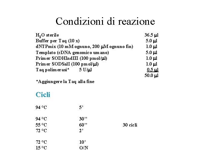 Condizioni di reazione H 2 O sterile Buffer per Taq (10 x) d. NTPmix