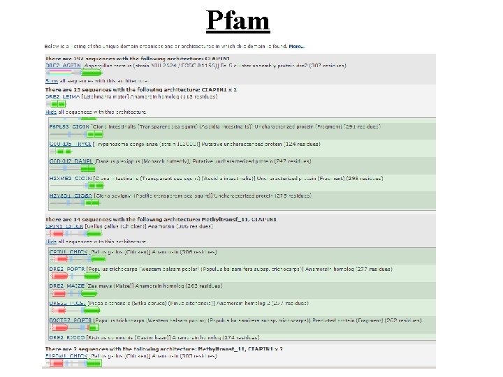 Pfam 