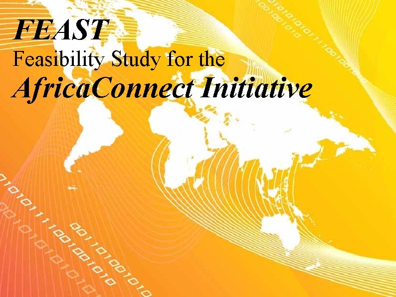 FEAST Feasibility Study for the Africa. Connect Initiative 