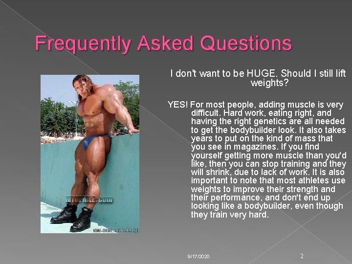 Frequently Asked Questions I don't want to be HUGE. Should I still lift weights? Frequently Asked Questions I don't want to be HUGE. Should I still lift weights?