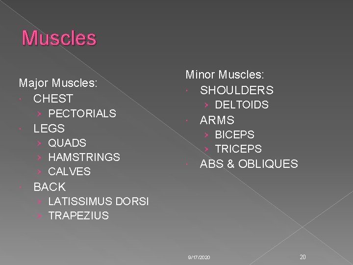 Muscles Major Muscles: CHEST › PECTORIALS LEGS › QUADS › HAMSTRINGS › CALVES Minor Muscles Major Muscles: CHEST › PECTORIALS LEGS › QUADS › HAMSTRINGS › CALVES Minor