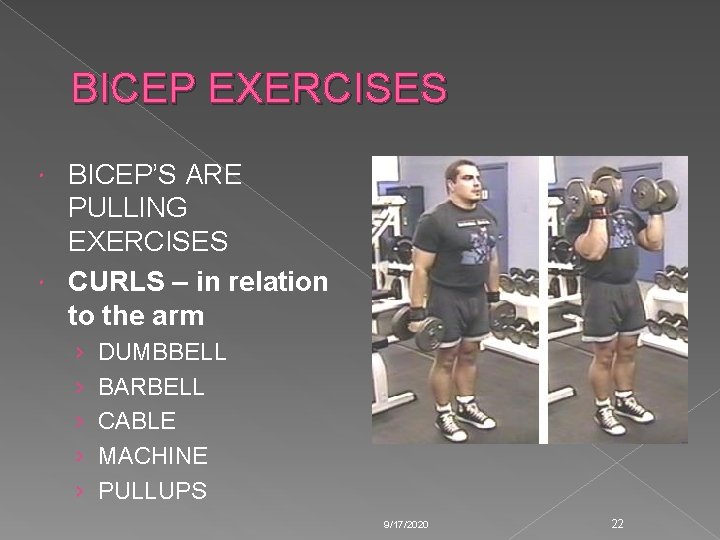 BICEP EXERCISES BICEP’S ARE PULLING EXERCISES CURLS – in relation to the arm › BICEP EXERCISES BICEP’S ARE PULLING EXERCISES CURLS – in relation to the arm ›