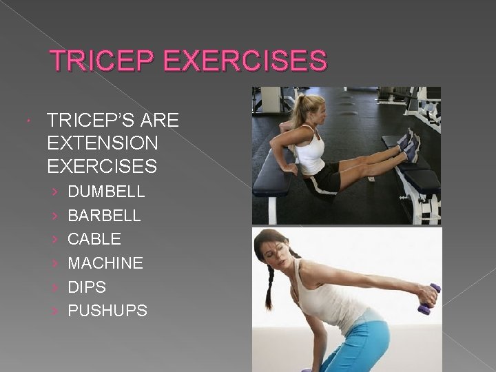 TRICEP EXERCISES TRICEP’S ARE EXTENSION EXERCISES › › › DUMBELL BARBELL CABLE MACHINE DIPS TRICEP EXERCISES TRICEP’S ARE EXTENSION EXERCISES › › › DUMBELL BARBELL CABLE MACHINE DIPS
