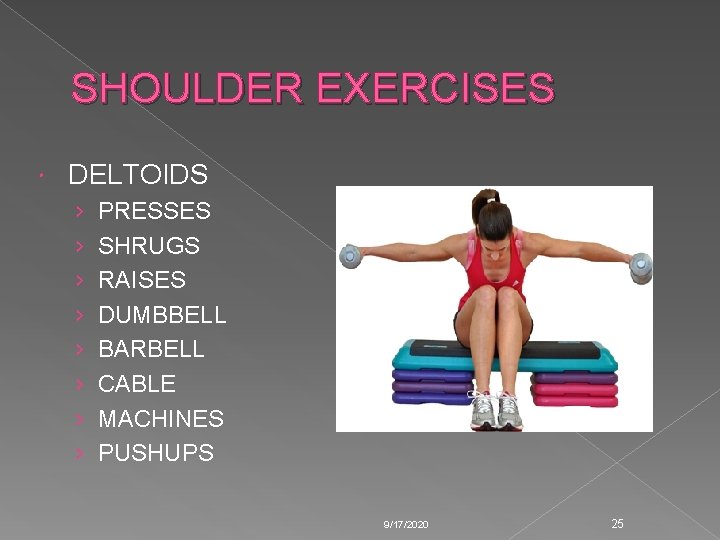 SHOULDER EXERCISES DELTOIDS › › › › PRESSES SHRUGS RAISES DUMBBELL BARBELL CABLE MACHINES SHOULDER EXERCISES DELTOIDS › › › › PRESSES SHRUGS RAISES DUMBBELL BARBELL CABLE MACHINES