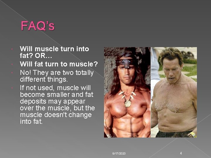 FAQ’s Will muscle turn into fat? OR… Will fat turn to muscle? No! They FAQ’s Will muscle turn into fat? OR… Will fat turn to muscle? No! They