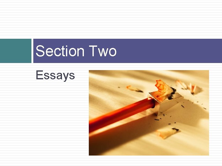 Section Two Essays 