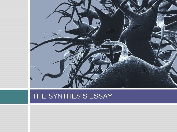 THE SYNTHESIS ESSAY 