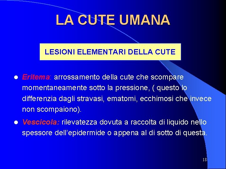LA CUTE UMANA LESIONI ELEMENTARI DELLA CUTE l Eritema: arrossamento della cute che scompare