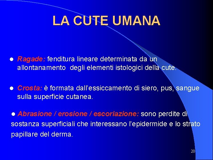 LA CUTE UMANA l Ragade: fenditura lineare determinata da un allontanamento degli elementi istologici