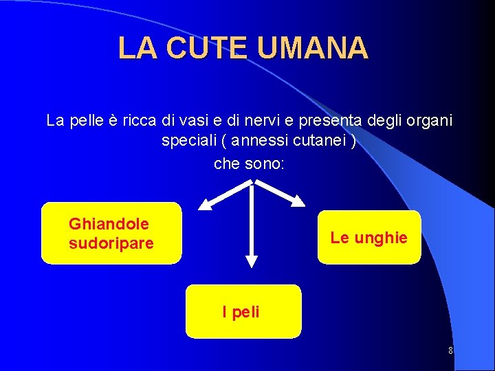 LA CUTE UMANA La pelle è ricca di vasi e di nervi e presenta