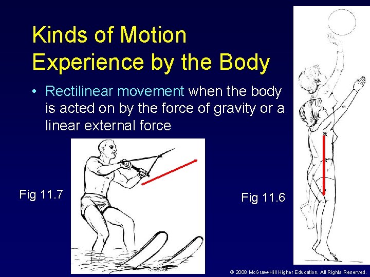 Kinds of Motion Experience by the Body • Rectilinear movement when the body is