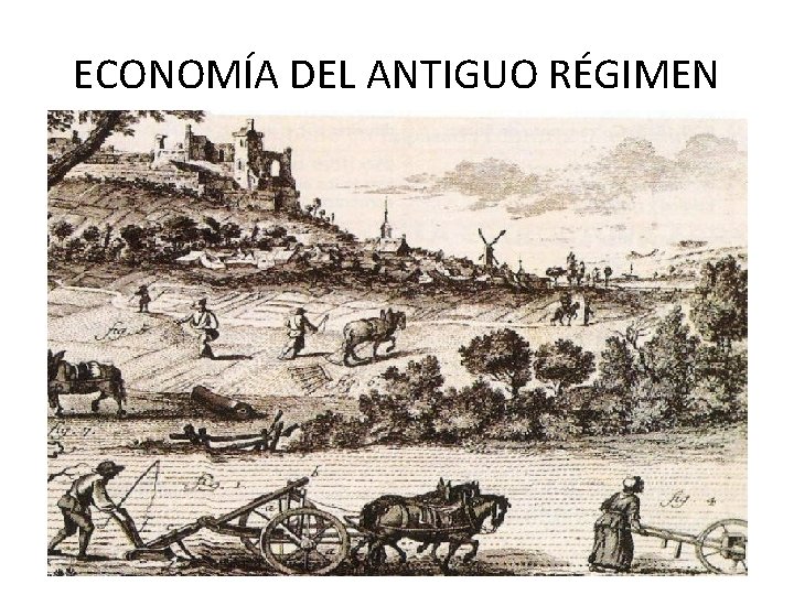 ECONOMÍA DEL ANTIGUO RÉGIMEN 